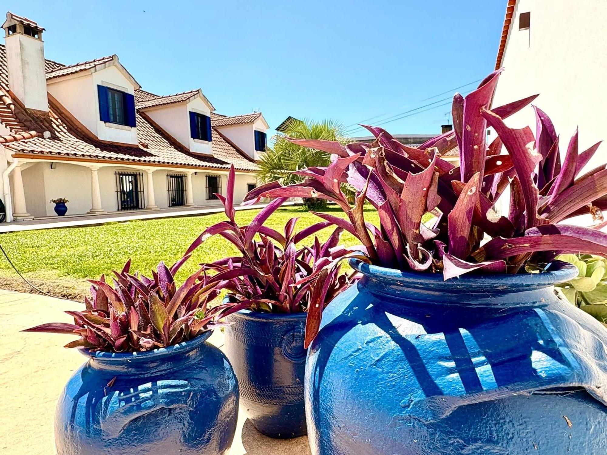 Fontainhas  Casal Dos Frades Bed & Breakfast エクステリア 写真